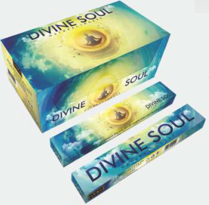 Divine Soul
